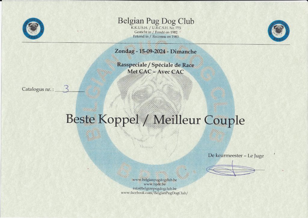 Wicked wilma Lord of Greyskull - BRACE CLASS BEST IN SHOW