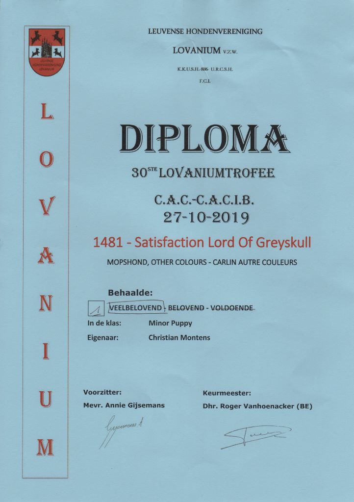 Satisfaction Lord of Greyskull - MPB 1st VP + BEST MINOR PUPPY