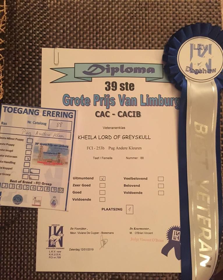 Kheila Lord of Greyskull - VCB 1st EXELLENT + VCAC