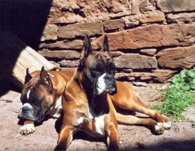 Publication : des Hauts du Bentaïrou Auteur : mauricette serrier