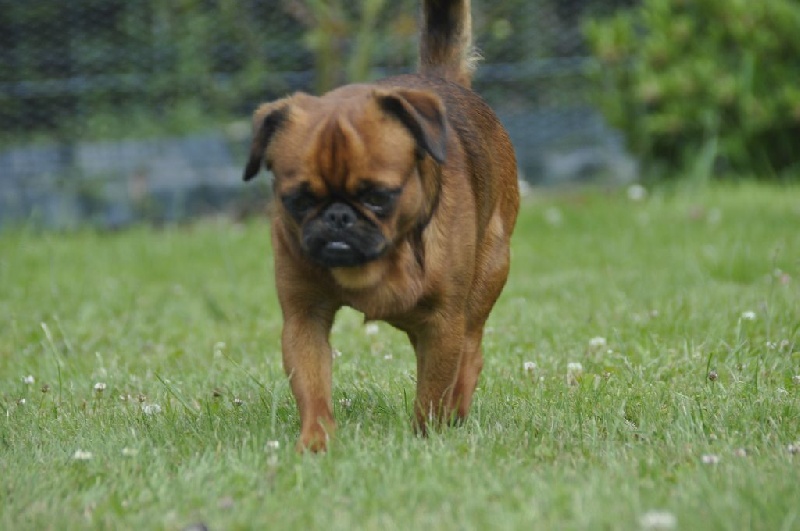 Publication : du Clos Napolitain