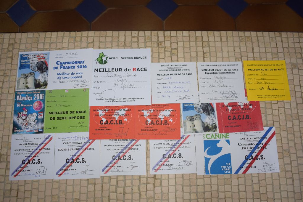 Publication : du Clos Napolitain