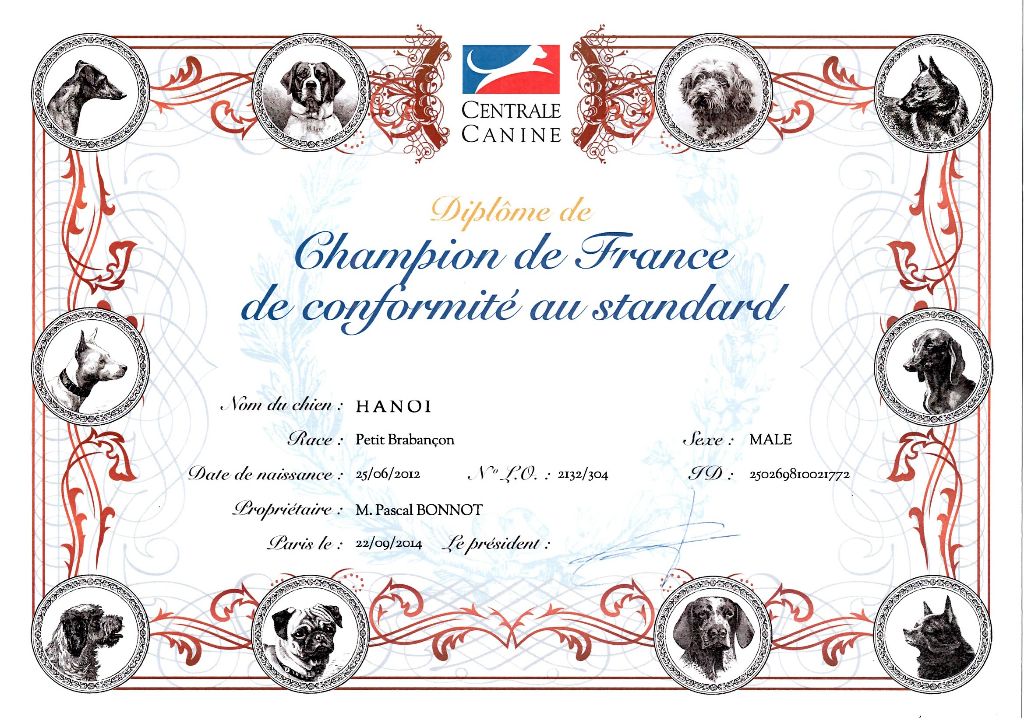 Publication : du Clos Napolitain