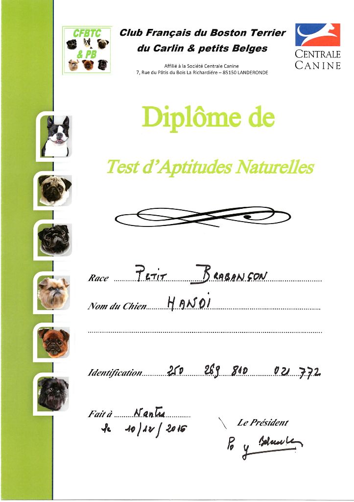Publication : du Clos Napolitain