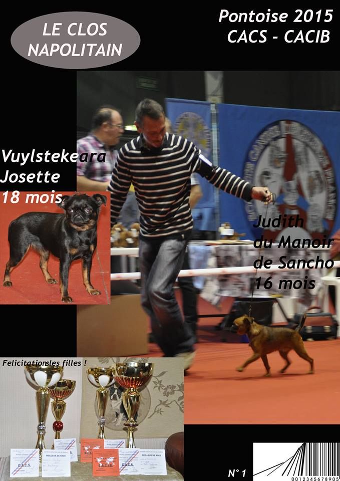 CH. Josette Vuylstekeara - 1er excellent, CACS, CACIB et BOB