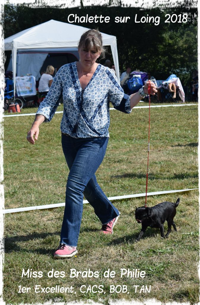 Miss Des Brabs De Philie - 1 er excellent CACS BOB TAN