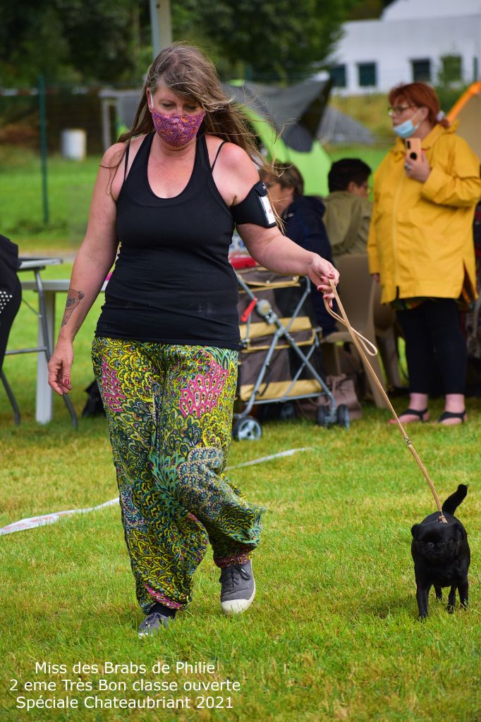 Miss Des Brabs De Philie - 2 em Très bon