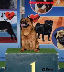 CH. Hanoï Titre Initial - 1er excellent