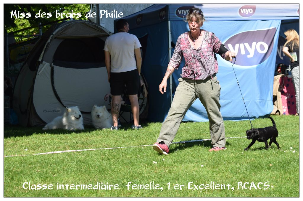 Miss Des Brabs De Philie - 1 er excellent, RCACS
