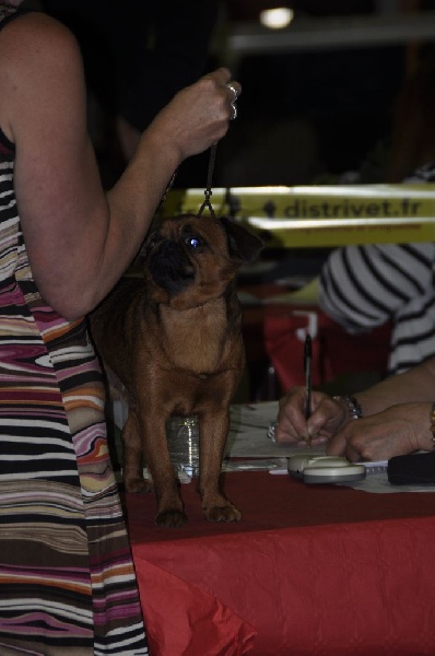 CH. Hanoï Titre Initial - 2eme EXC