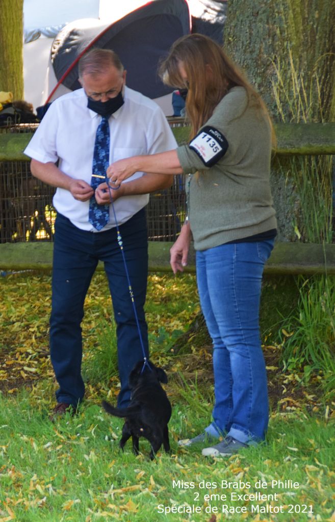Miss Des Brabs De Philie - 2 em Excellent