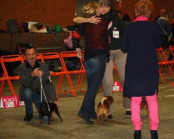 CH. Josette Vuylstekeara - 1er excellent