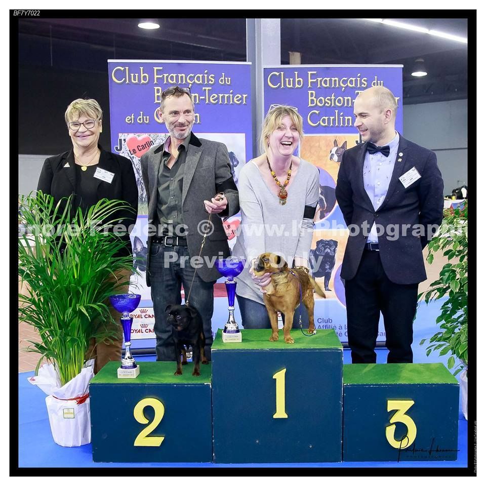 CH. Josette Vuylstekeara - 1er excellent