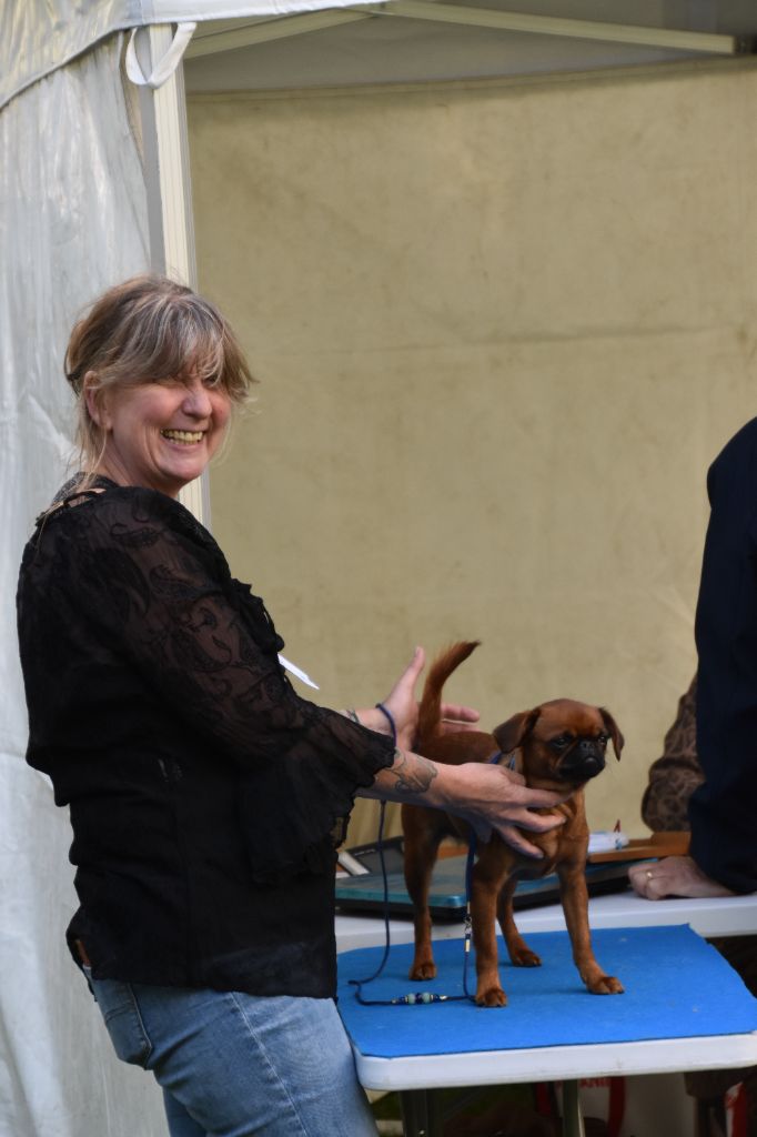 CH. Hanoï Titre Initial - 1 er excellent CACS Meilleur jeune BOB