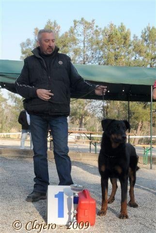 Celya Des habits de feu - 1ère EXC. Intermédiaire Femelles