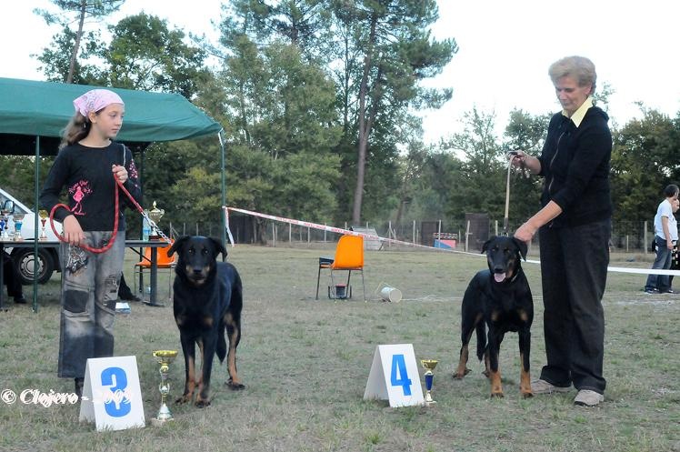 Doris Des habits de feu - 3ème EXC. Classe JEUNES Femelles