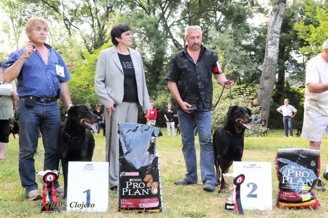 Doris Des habits de feu - 2ème Classe INTERMEDIAIRE Femelles et 4ème Classe CACS Femelles