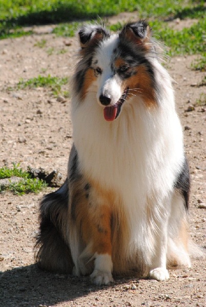 Génération hello kittie des Diablotins de Nooch