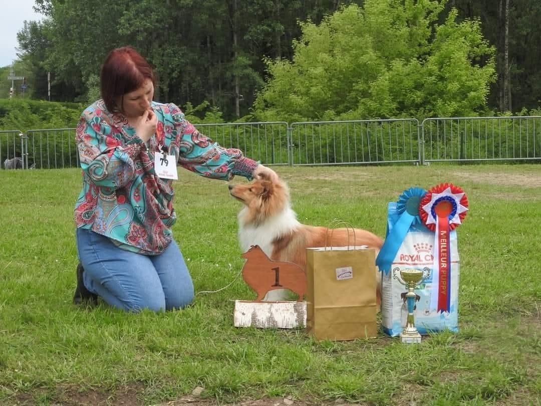 CH. Une Petite Merveille Alice des Diablotins de Nooch