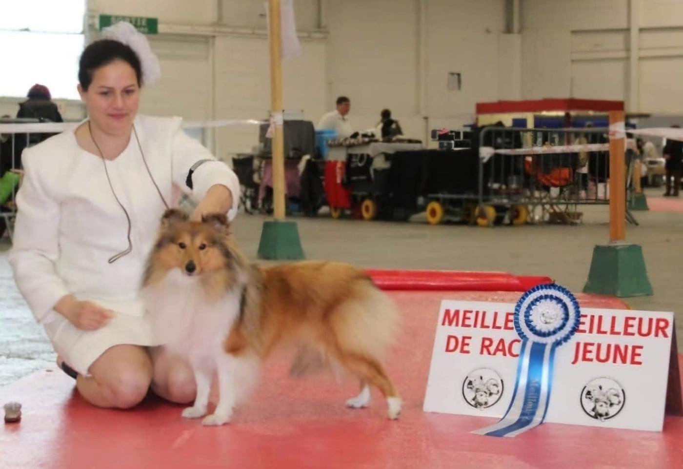 CH. Une Petite Merveille Alice des Diablotins de Nooch