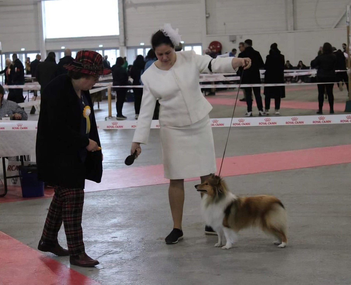 CH. Une Petite Merveille Alice des Diablotins de Nooch