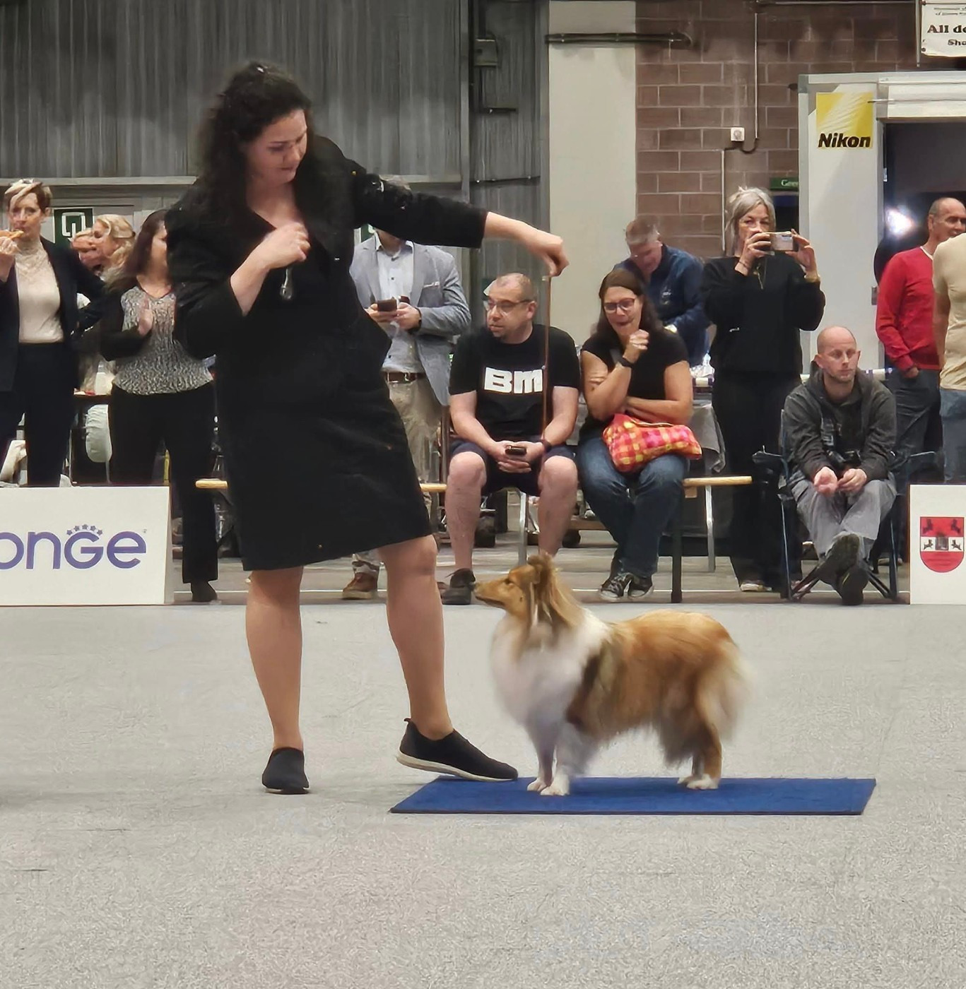 CH. Une Petite Merveille Alice des Diablotins de Nooch