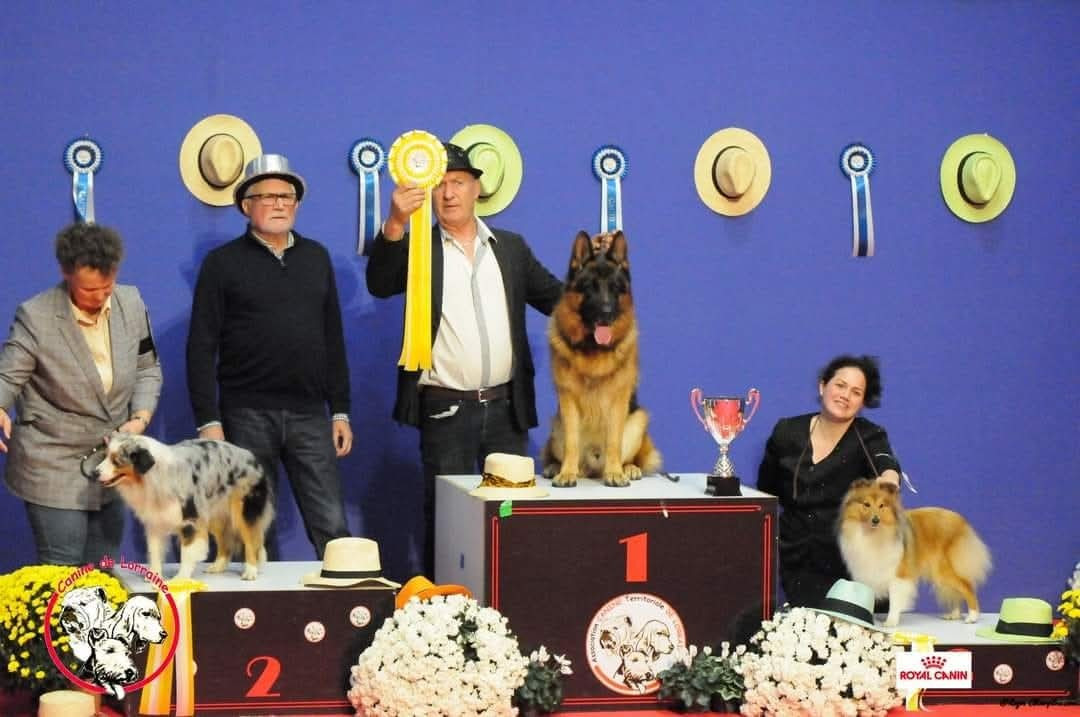 CH. Une Petite Merveille Alice des Diablotins de Nooch