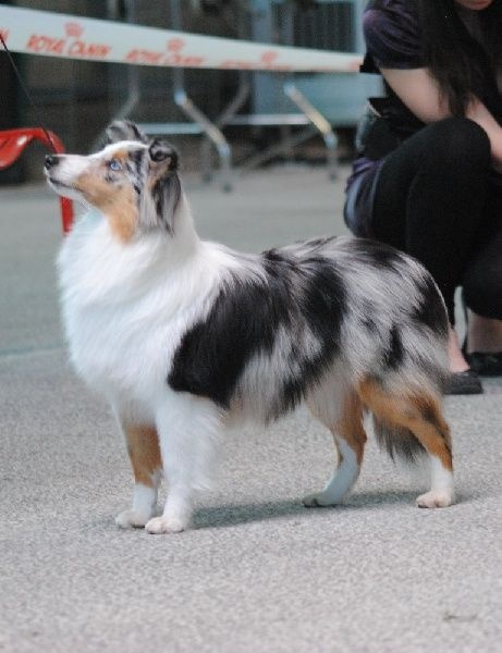 Génération hello kittie des Diablotins de Nooch