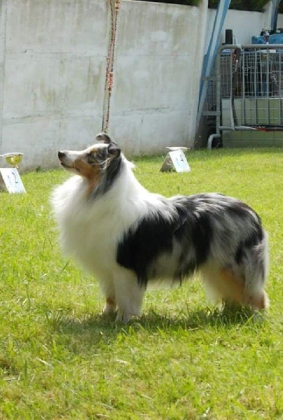 Génération hello kittie des Diablotins de Nooch