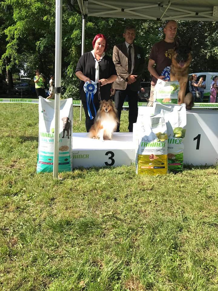 CH. Mystère et boule de gomme marlow des Romarins de Mayerling - 1er excellent - CAC - BOB - BOG 3