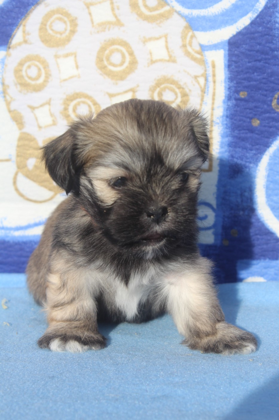 FEMELLE collier orange