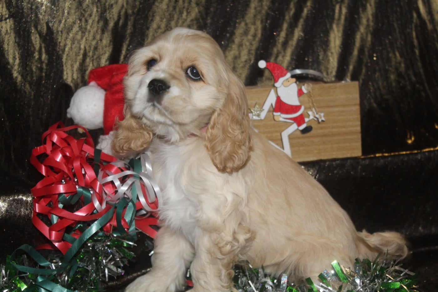 FEMELLE BLONDE (collier rose)