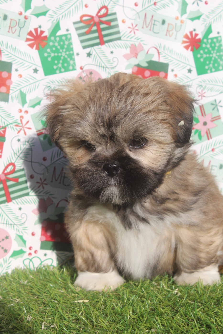 ANOUK FEMELLE collier jaune