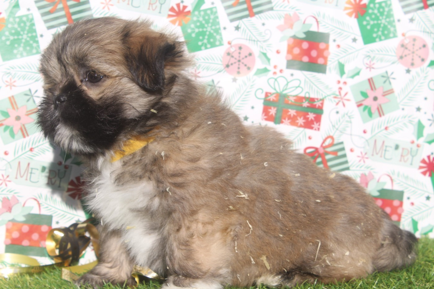 ACE MALE collier jaune