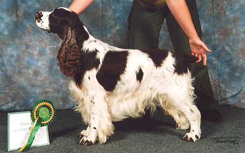 Publication : Canouan