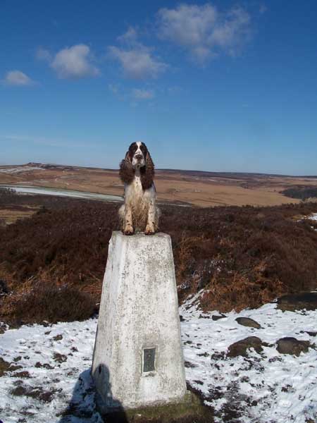 Publication : Canouan