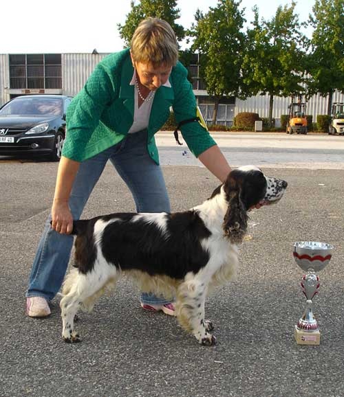 CH. Canouan Viking flagship jw - CACIB CACS Meilleur de Race