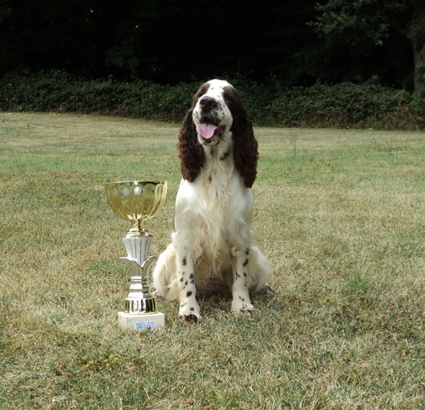 CH. Canouan Day by day - CACS Meilleur de Race 2eme en Group 8