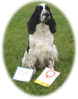 CH. Canouan Viking flagship jw - Reserve Challenge Certificate