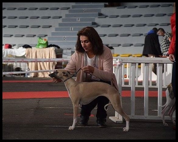 Infinity beauty du bois des chênes beaux - EXC non Classé