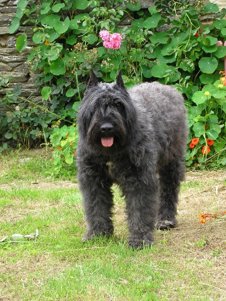 Ukraine de la Fontaine au Maitre