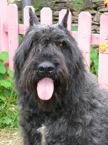 Ukraine de la Fontaine au Maitre