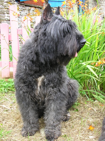 Ukraine de la Fontaine au Maitre