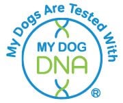 MyDogDNA - LES RESULTATS DES LAGOTTO GdT
