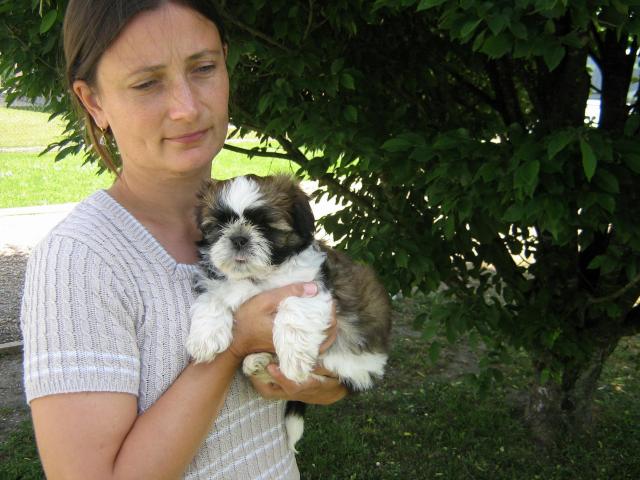 Publication : du fleuve d'or