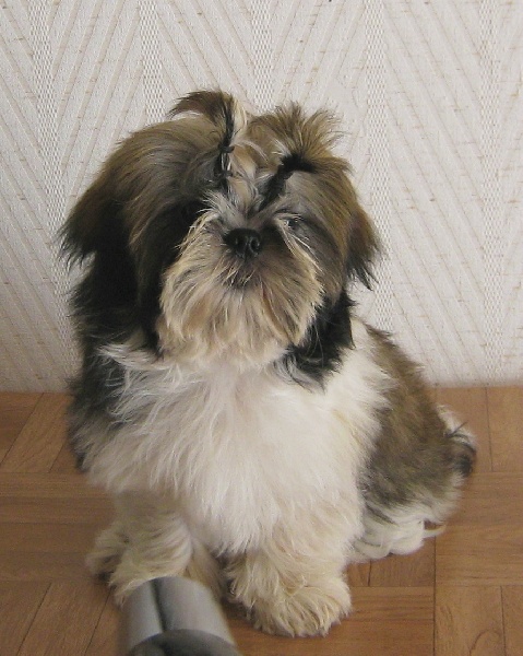 Publication : du fleuve d'or