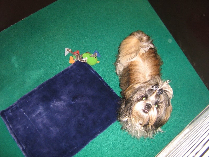 Publication : du fleuve d'or