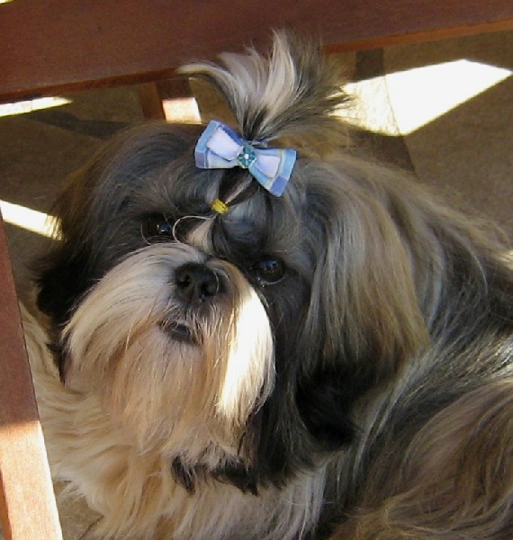 Publication : du fleuve d'or