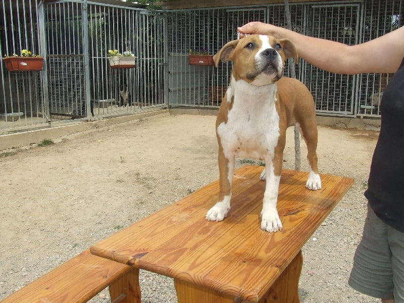 Publication : du chant de hienda