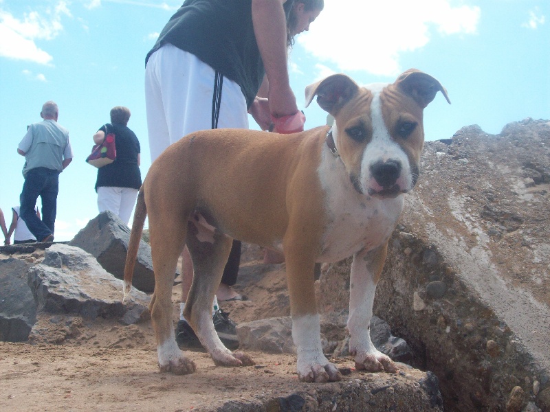 Publication : du chant de hienda